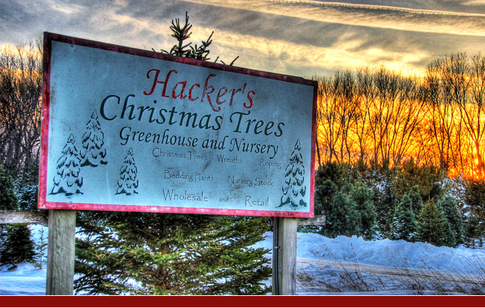 Hacker's tree farm, greenhouse and nursery