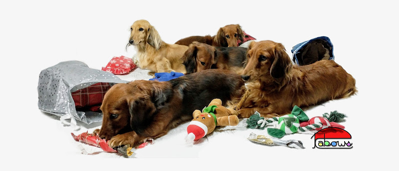 Hammond Farm photo 2