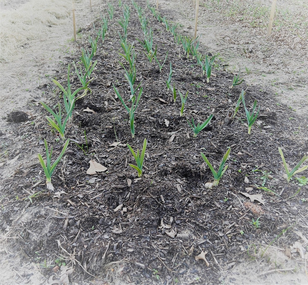 Fowl Acres Farm photo 3