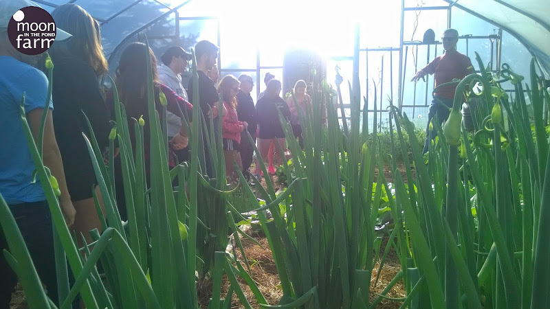 Moon In The Pond Farm and Farm Education, Inc.