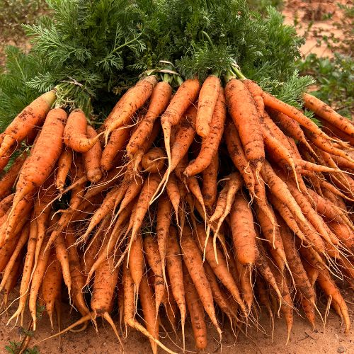 Demases Farm