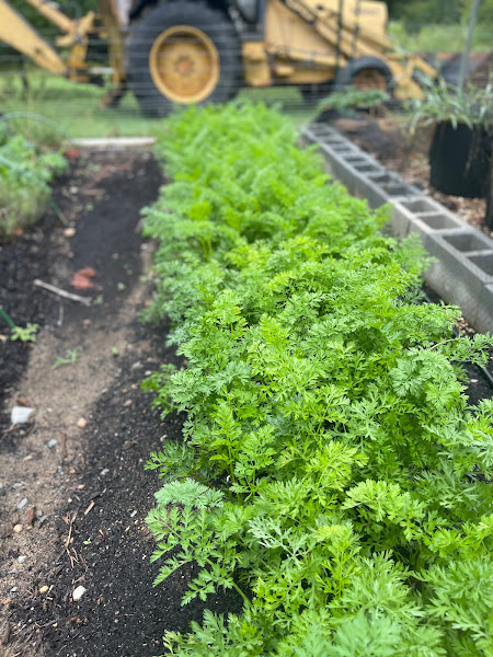 Growing the Good Life Farmstand
