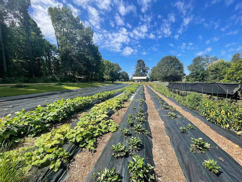 Growing the Good Life Farmstand photo 3