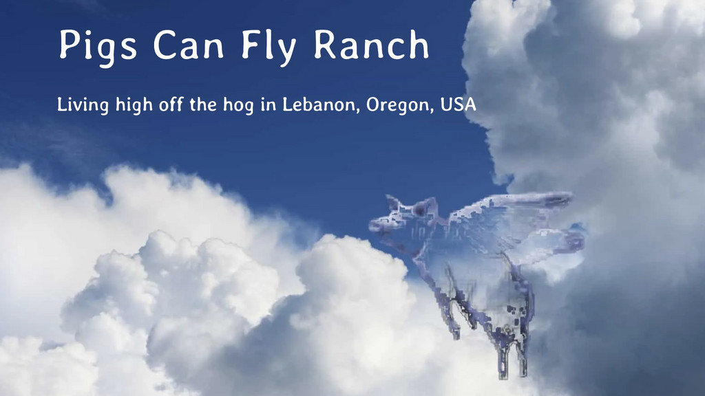 Pigs Can Fly Ranch