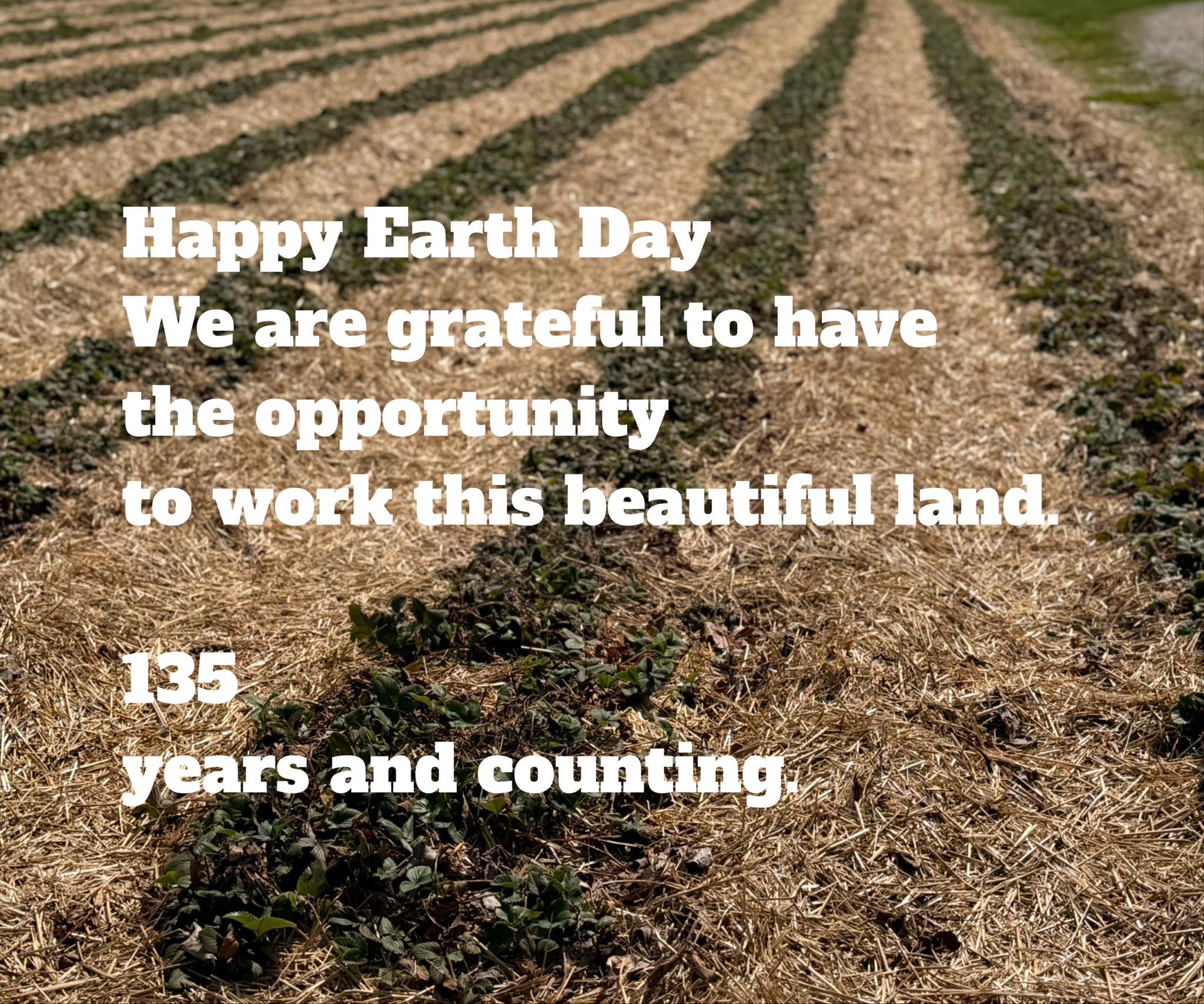 West Orchards Farm Market