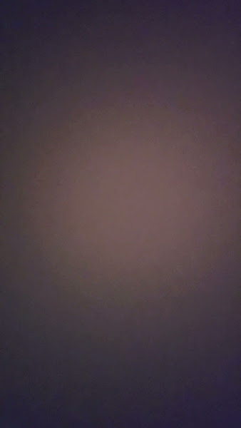 Louisiana Gold Honey Farm LLC