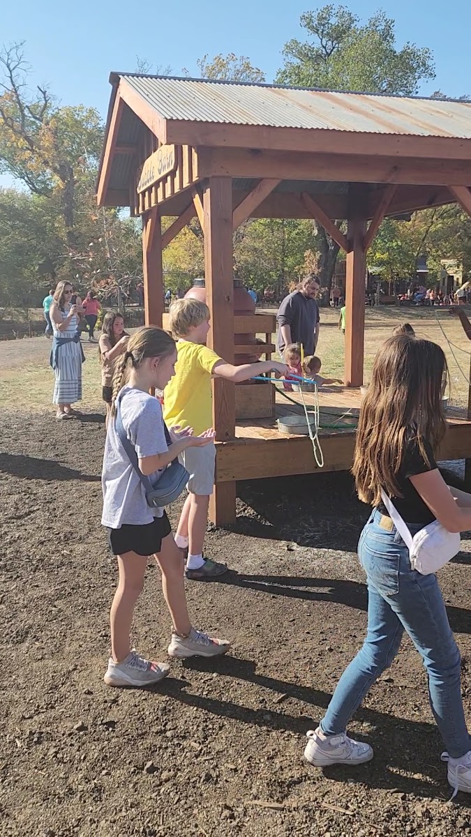 P and M Pumpkin Ranch, LLC photo 4