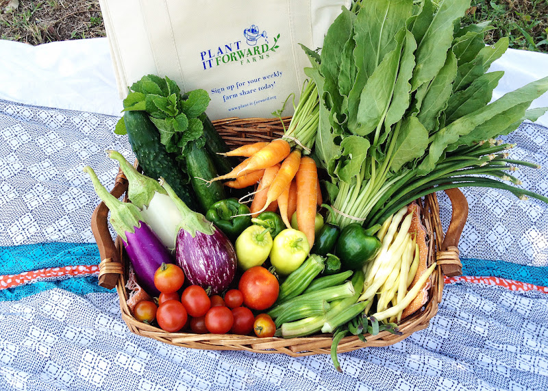 Plant It Forward Farms @ Blossom Heights photo 2