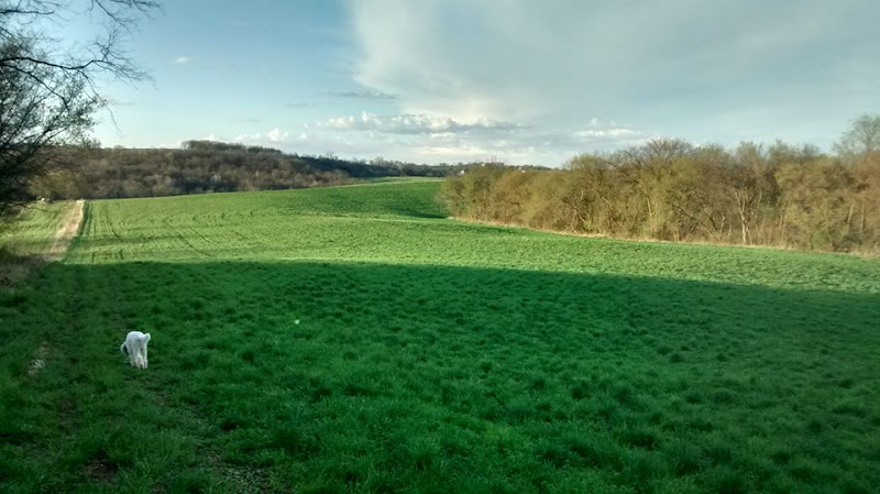 Humble Hands Harvest CSA farm