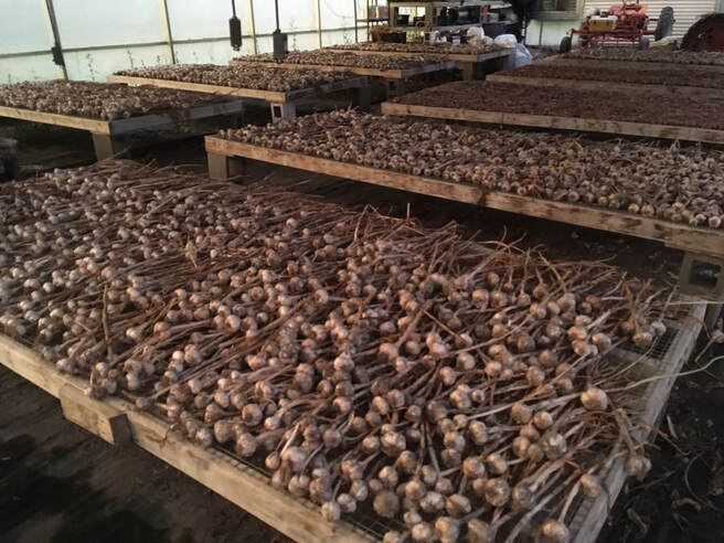 Tempel Farms Organics photo 8