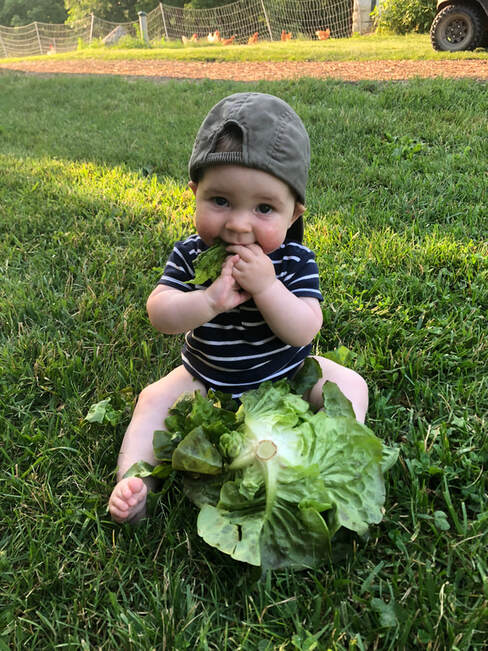 Tempel Farms Organics