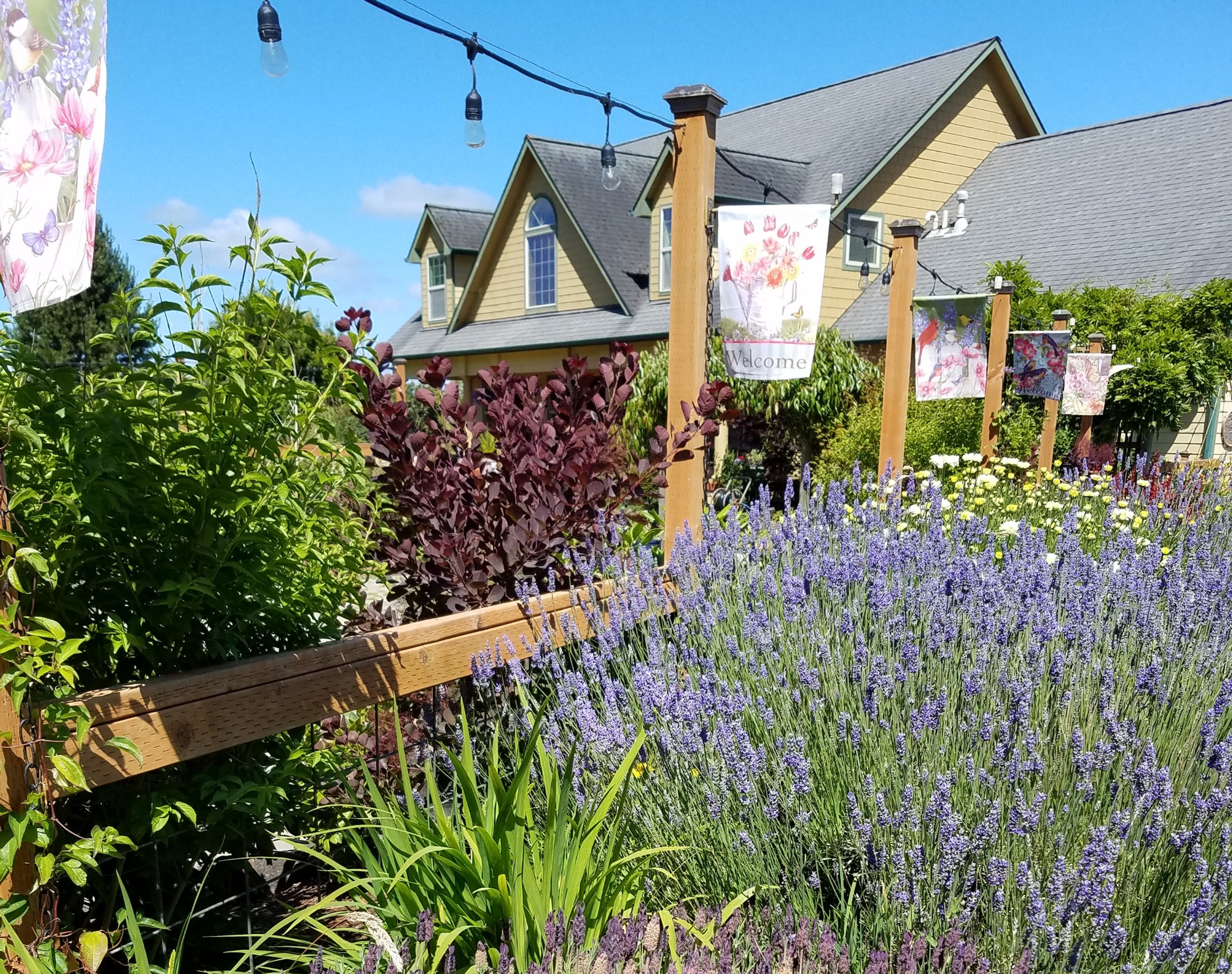 Little Island Farm and Flowers