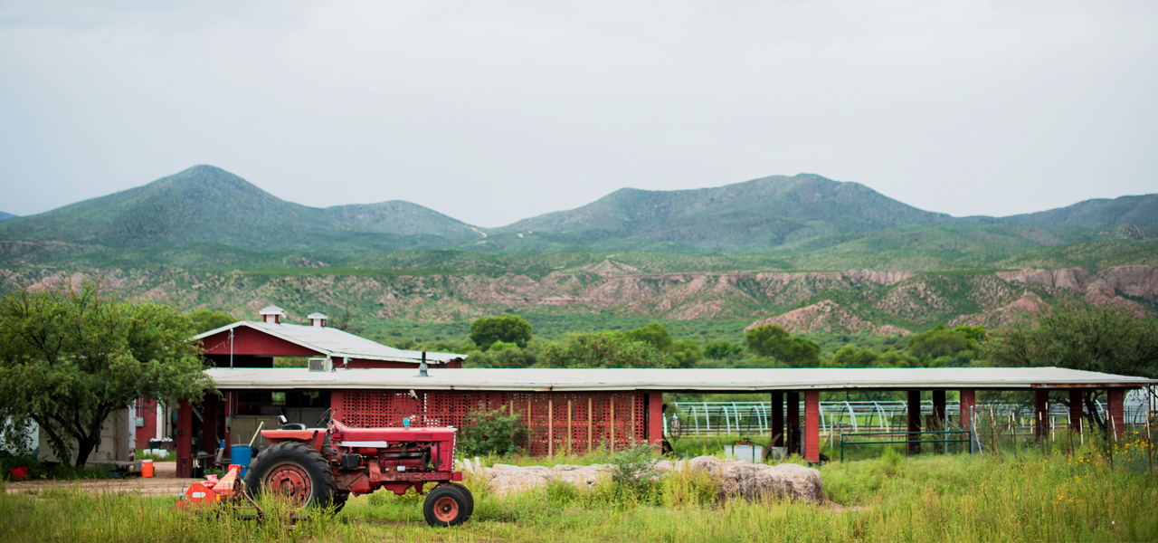 Heirloom Farmers Market - Oro Valley (Steam Pump Ranch)