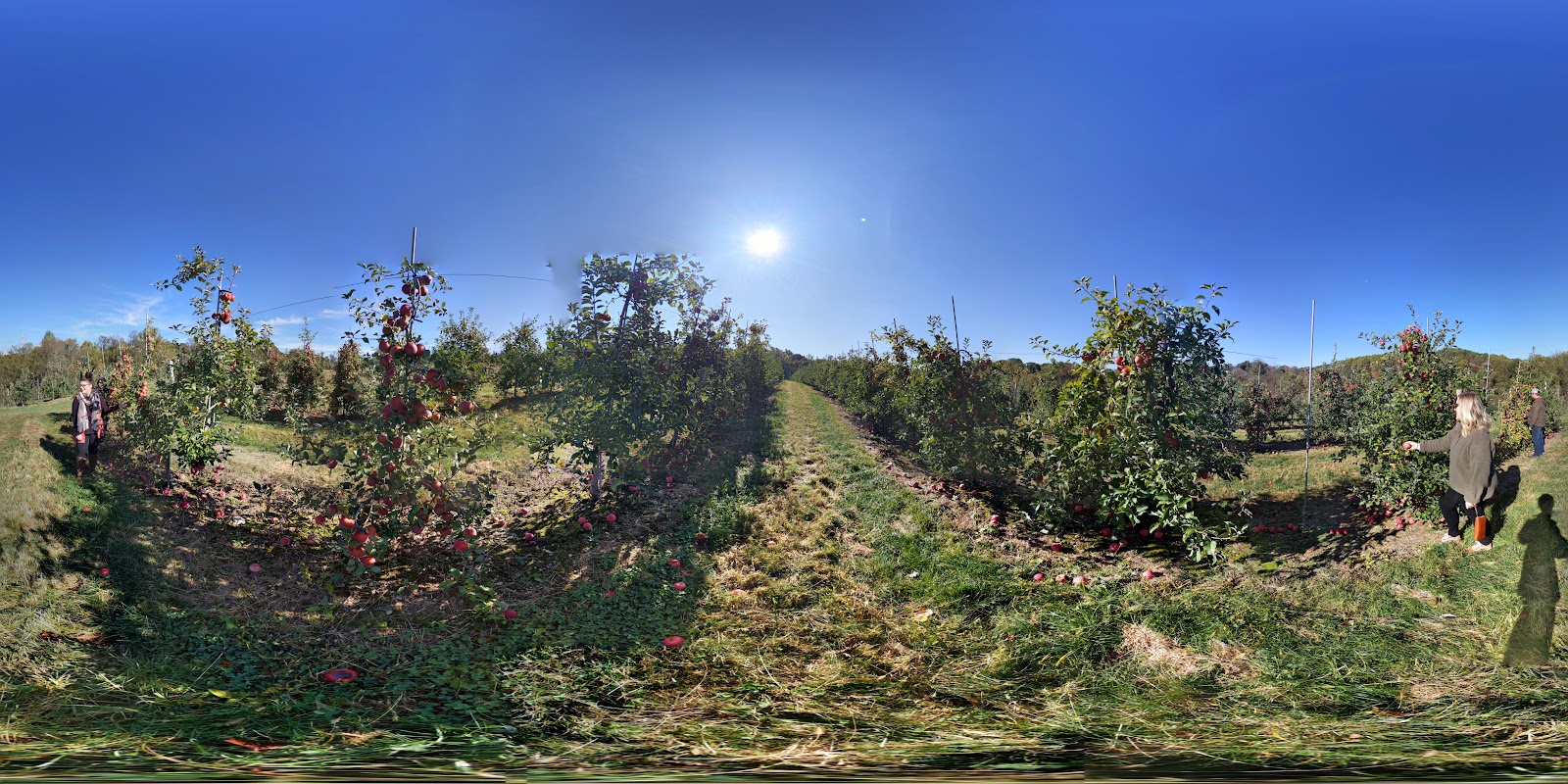 Highland Orchards Farm and Market photo 5