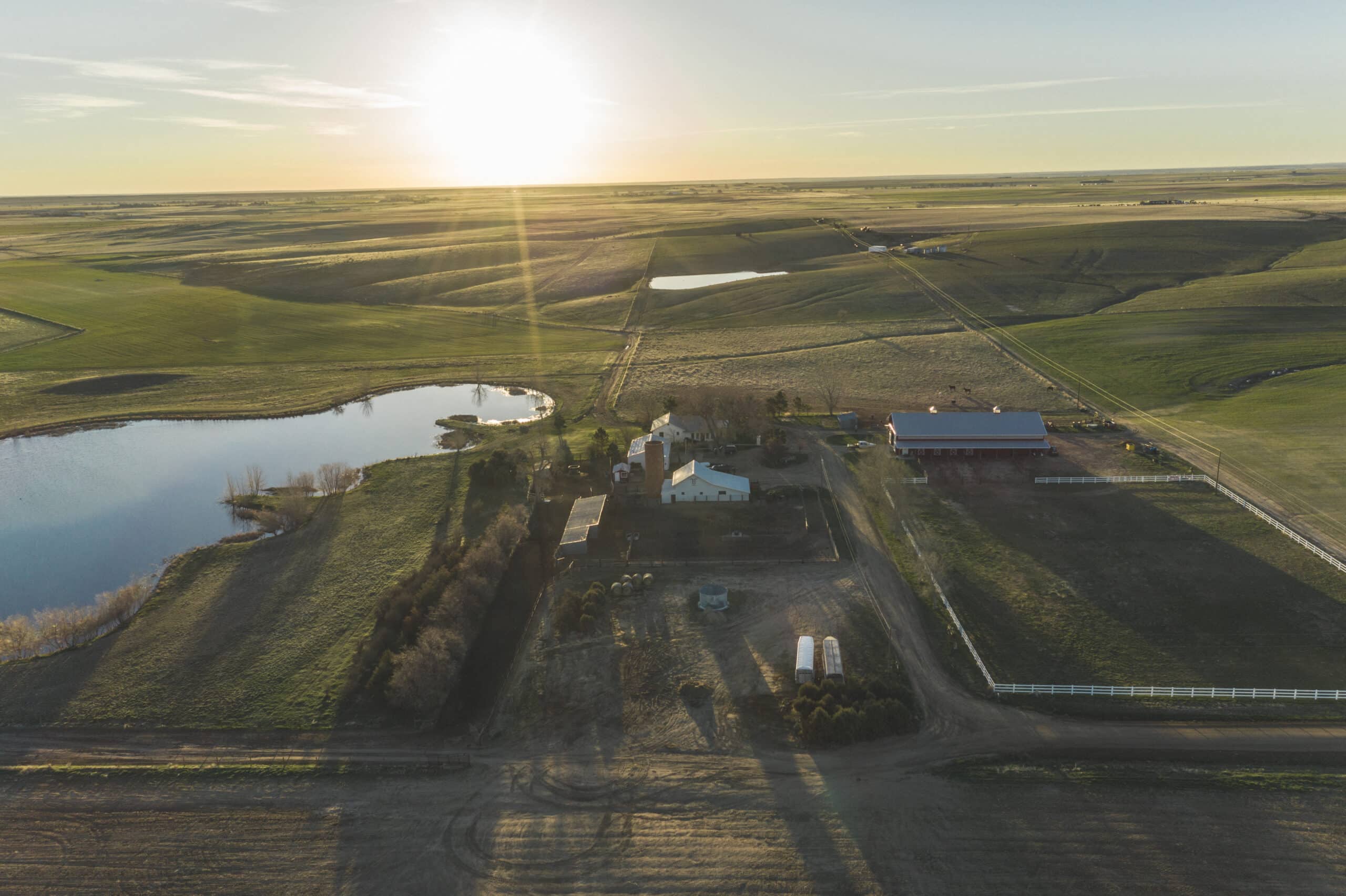 Flying B Bar Ranch Grassfed Beef