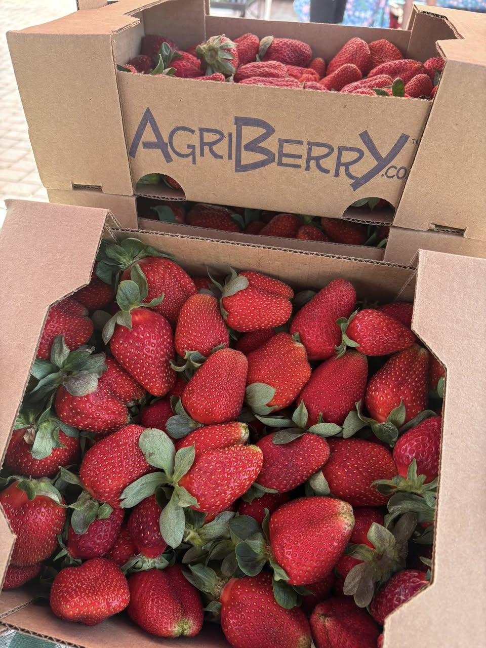 Ashland Farmers Market