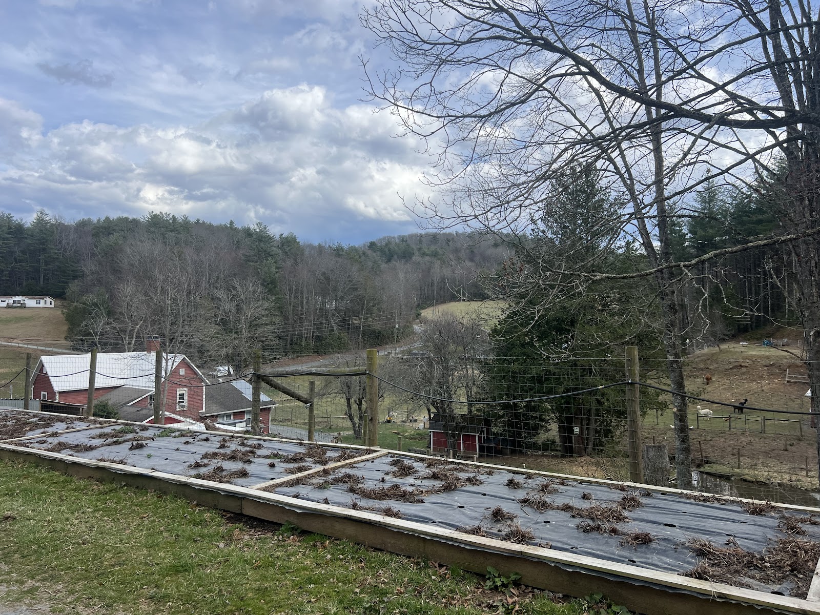 Land of Milk and Honey Farms, LLC photo 5