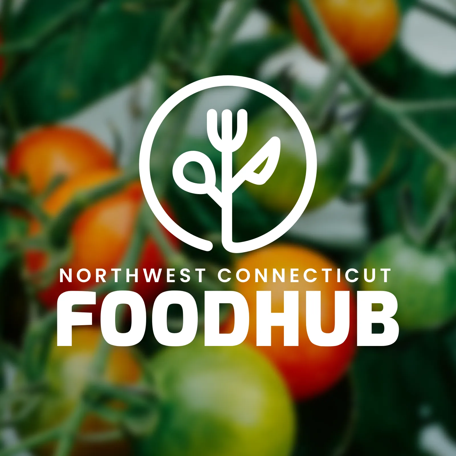Northwest Connecticut Regional Food Hub