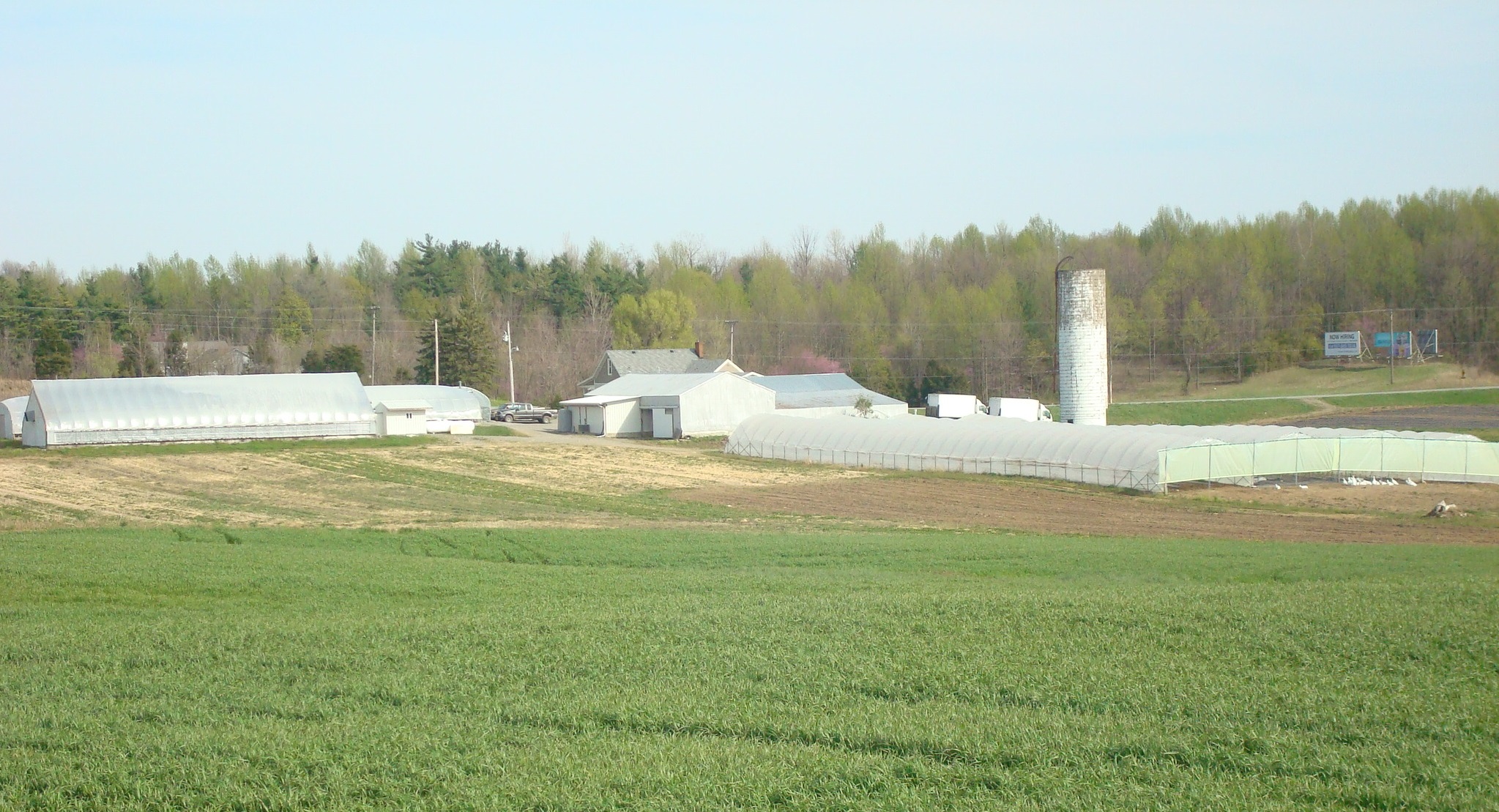 Wishwell Farms
