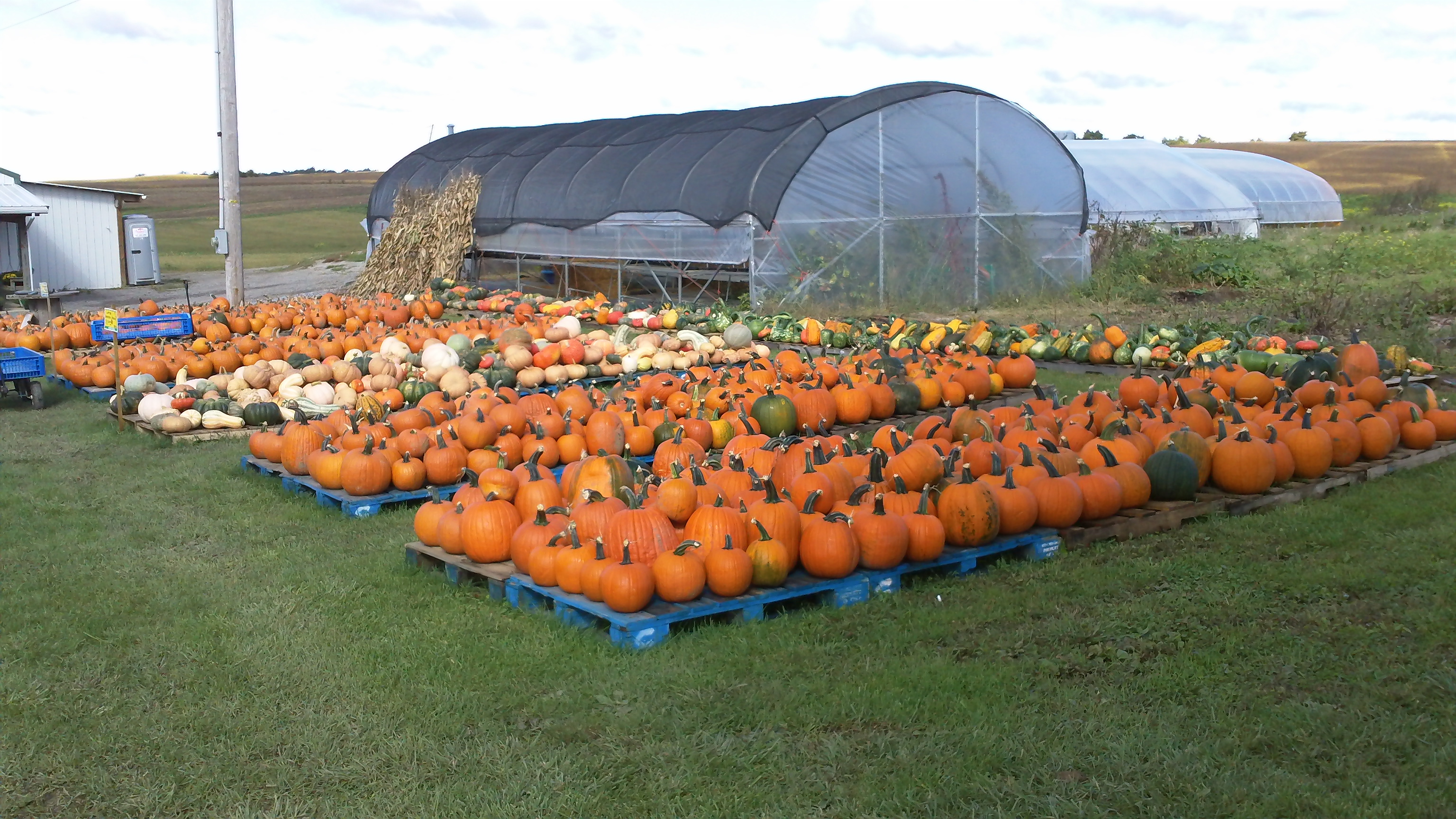 Wishwell Farms photo 5