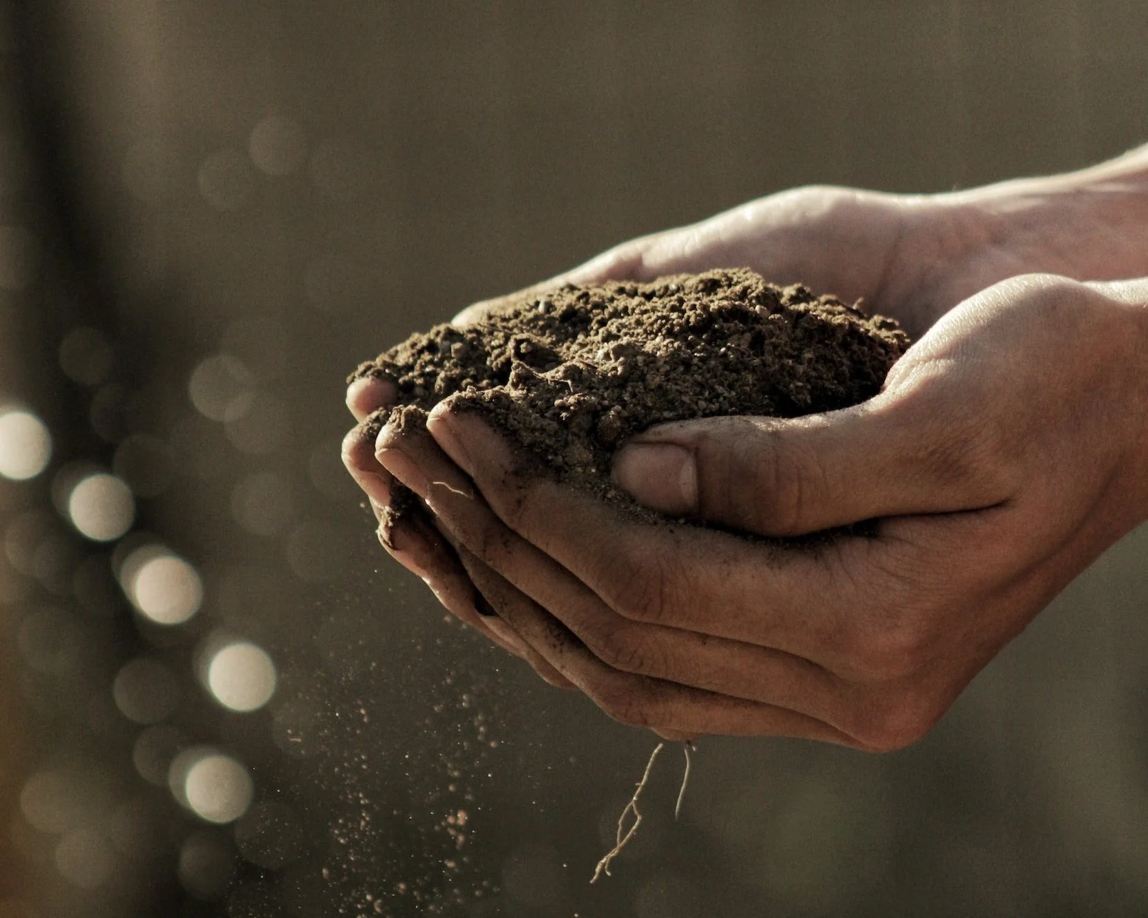 Camp Creek Organic Produce