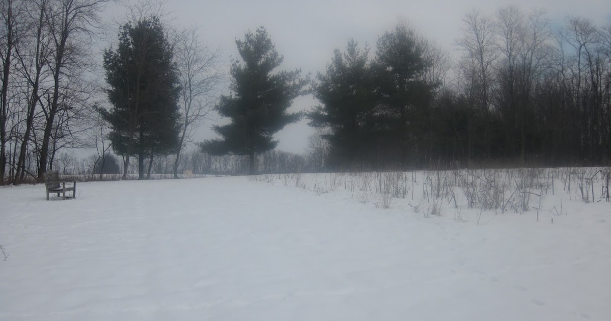 Thin Air Farm photo 2