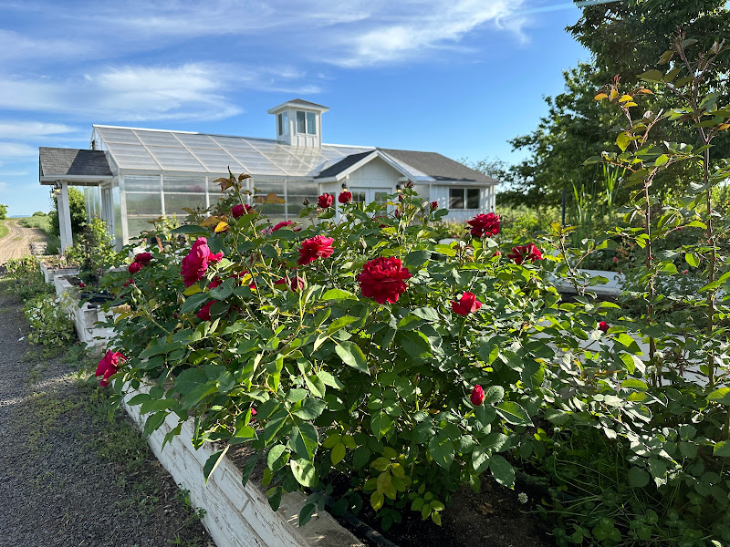 Sunset Orchard on Green Bluff