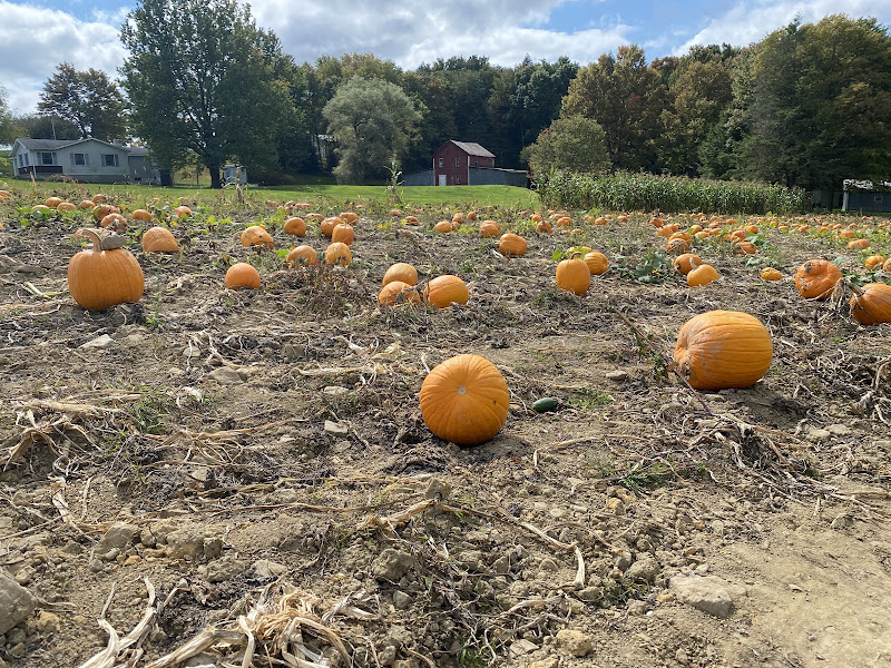 Dickert Farms photo 4