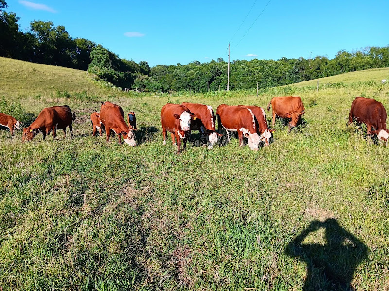 Dickert Farms photo 5