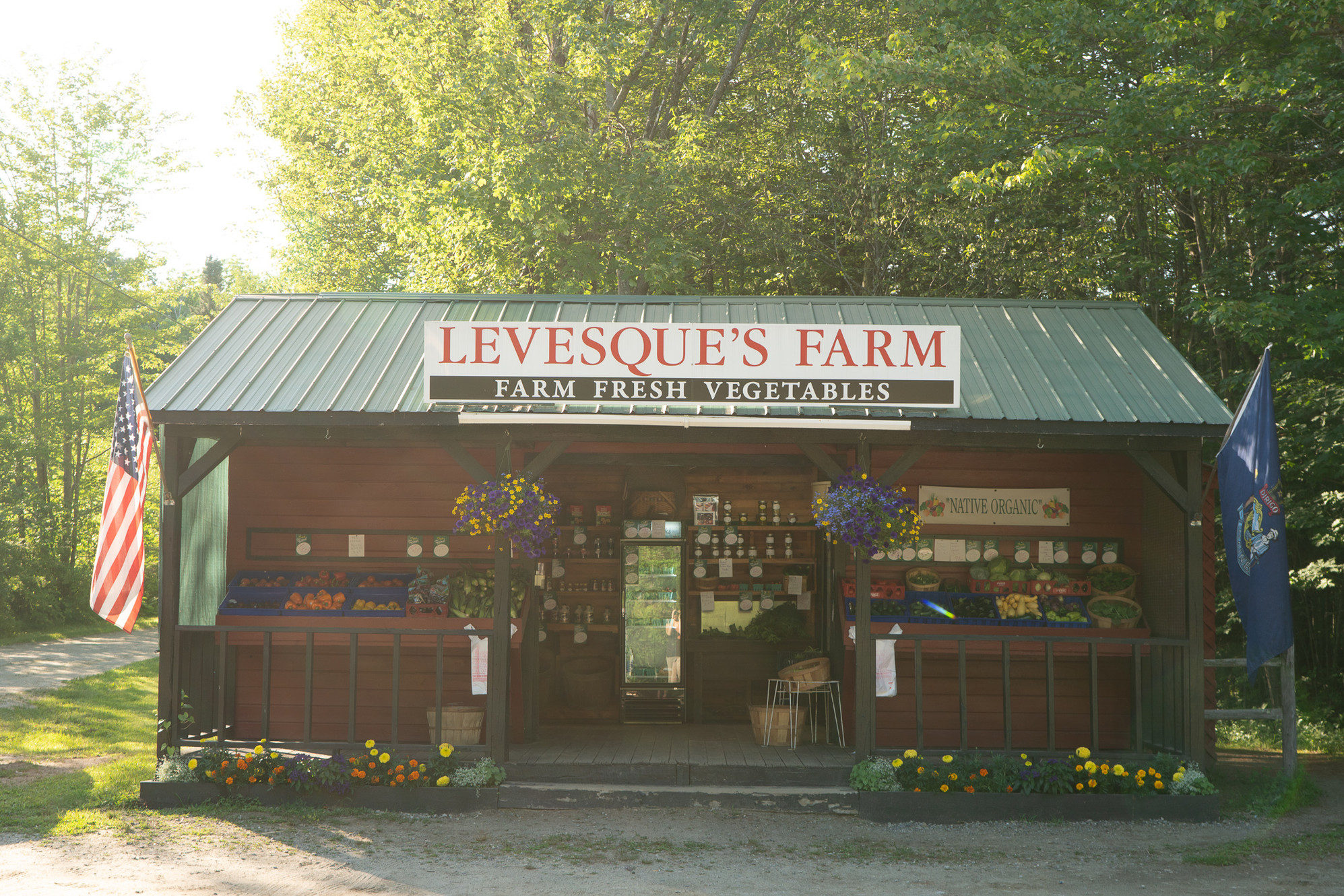 Levesque's Organic Farm