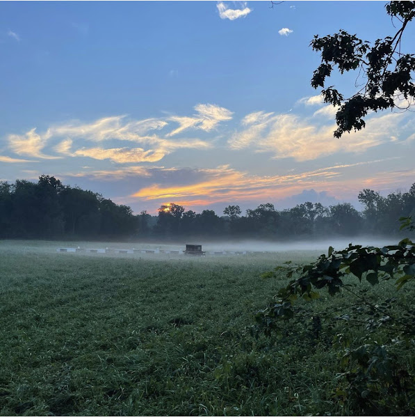 Starr Valley Farm photo 2