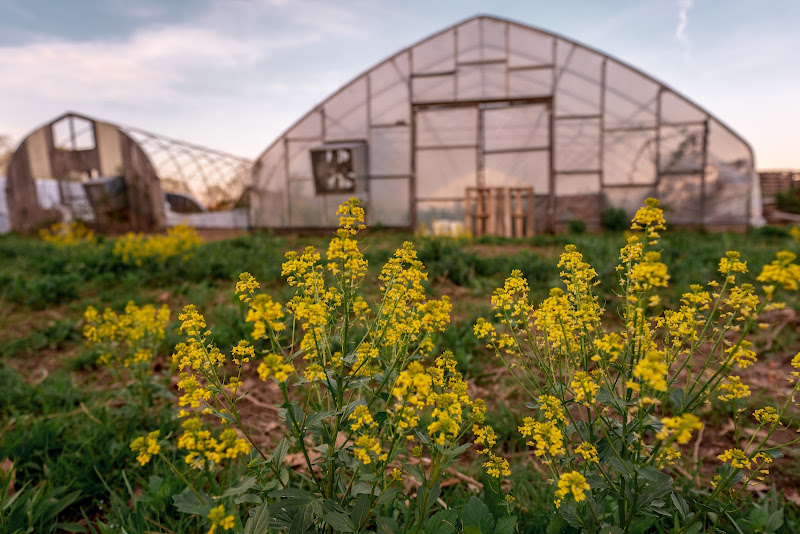 Starr Valley Farm photo 3