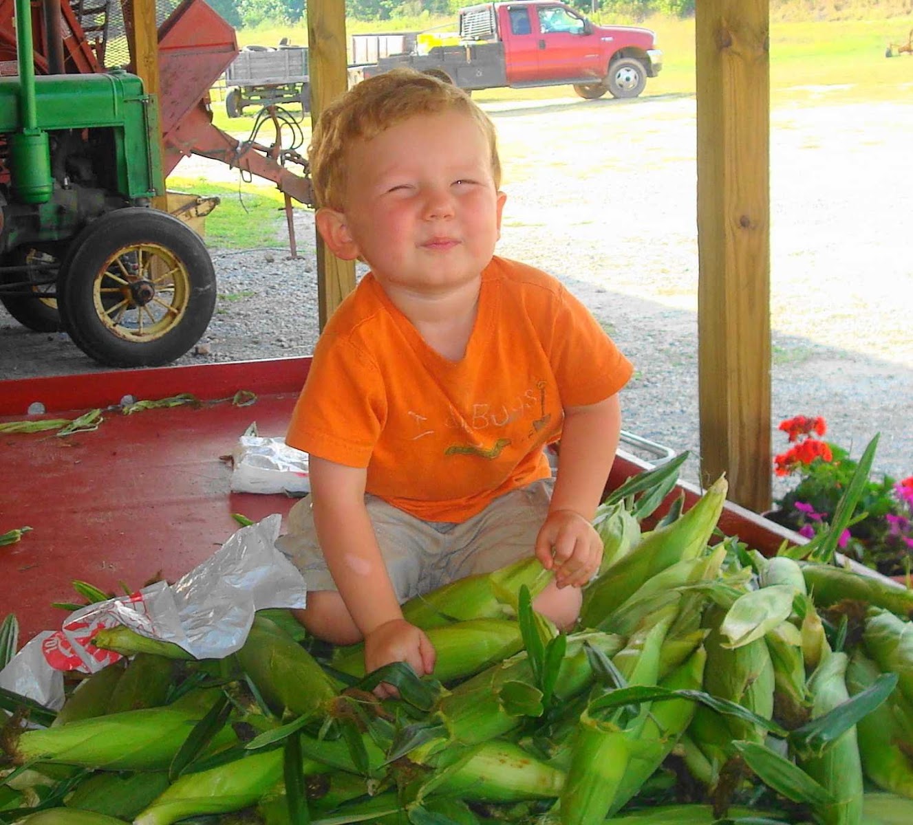 Lowreys Farm Market photo 4