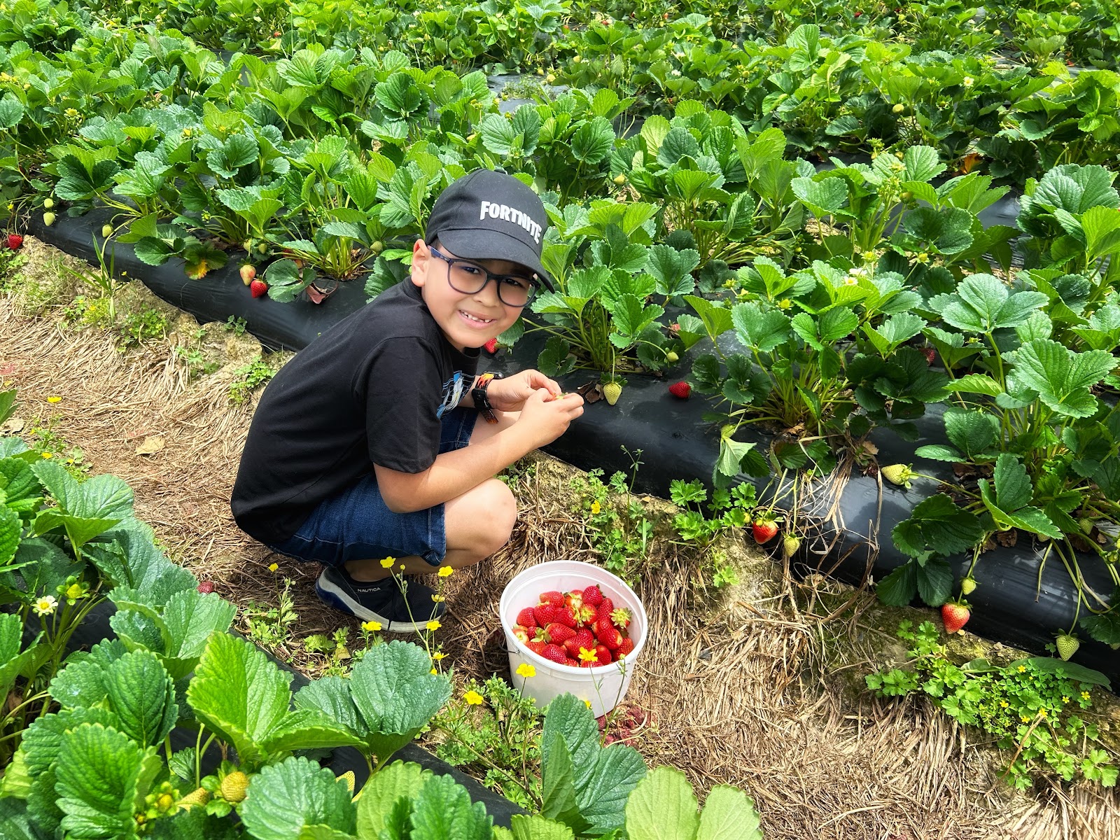 Lowreys Farm Market photo 5
