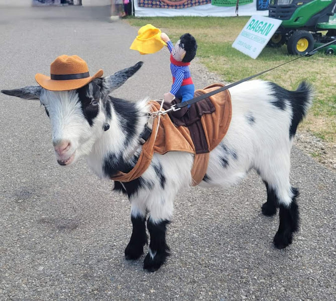 Little House on Prairie Farmstand