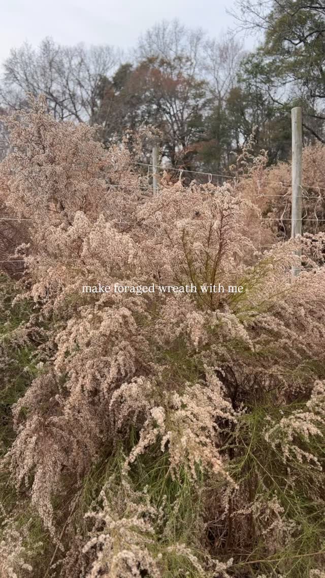 Everlane Flower Co photo 7