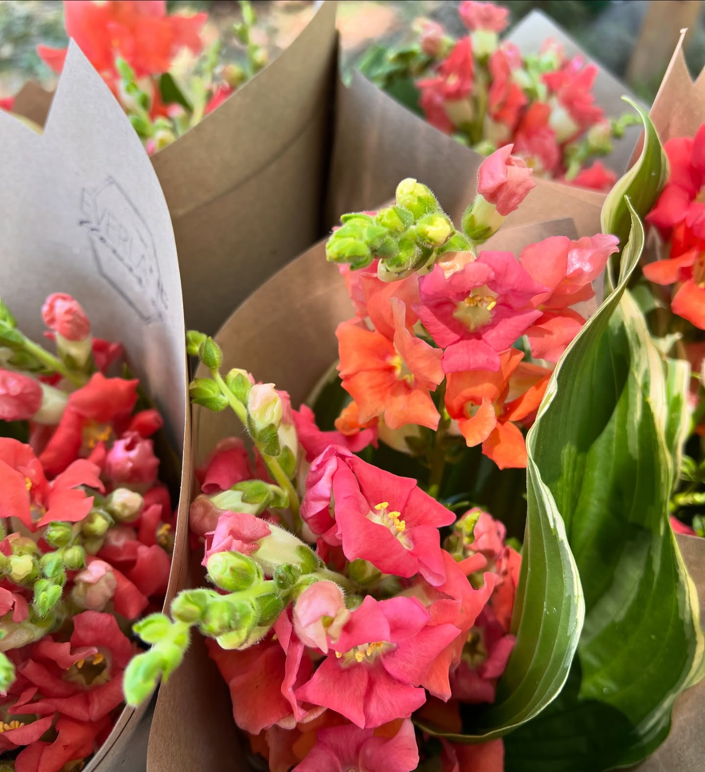 Everlane Flower Co photo 22