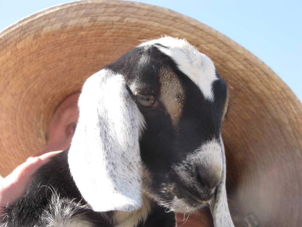 Prairie Promise Farm