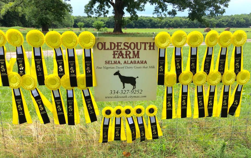 Oldesouth Farm
