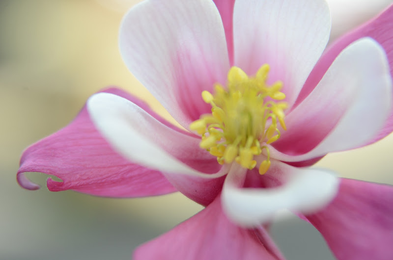 Territorial Seed Company Store photo 3