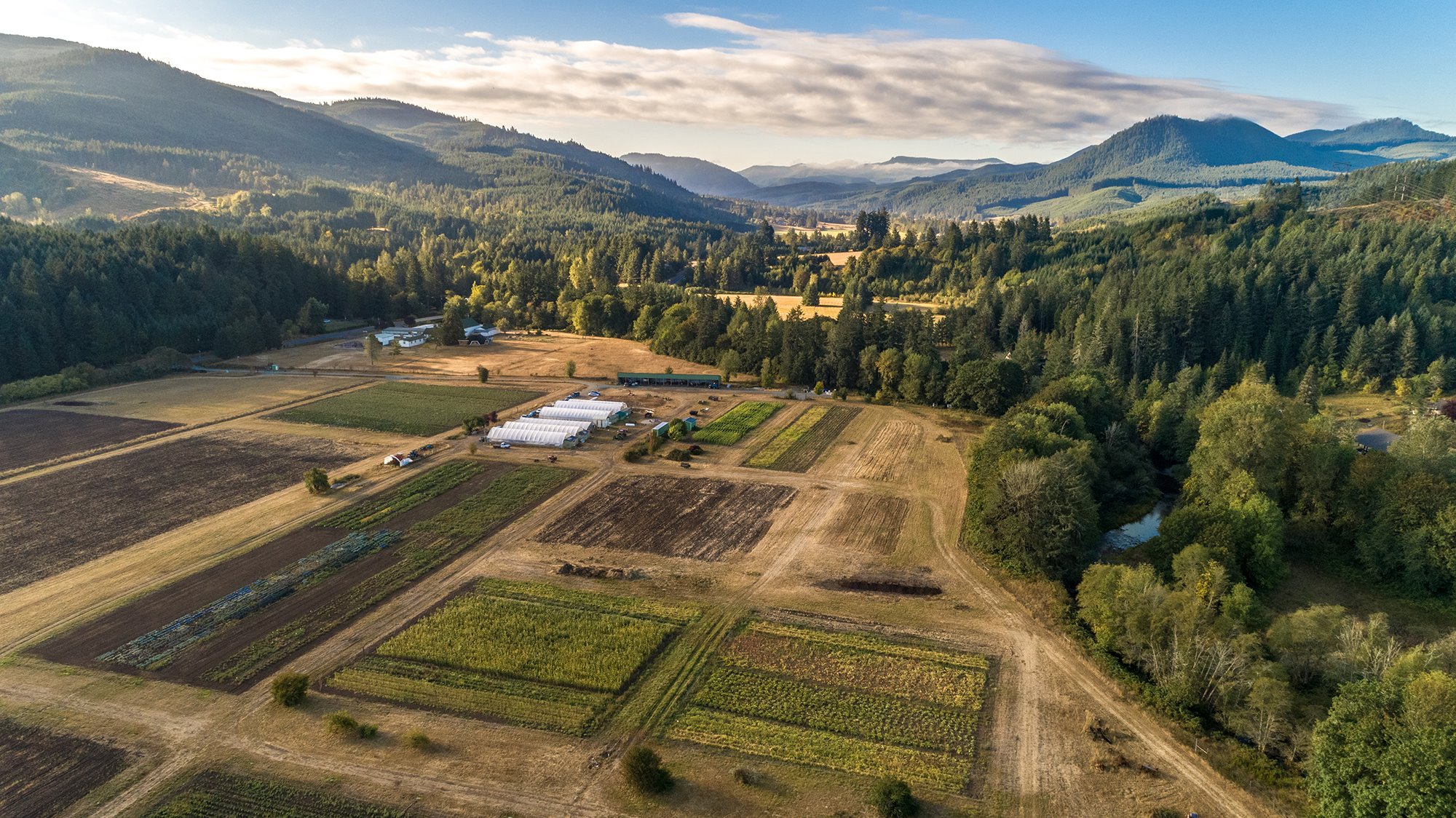 Territorial Seed Company Store