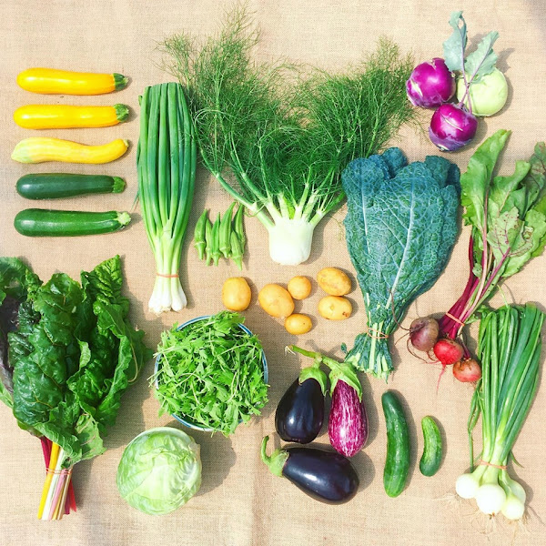 Woodside Farms of VA