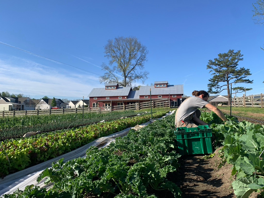 Woodside Farms of VA