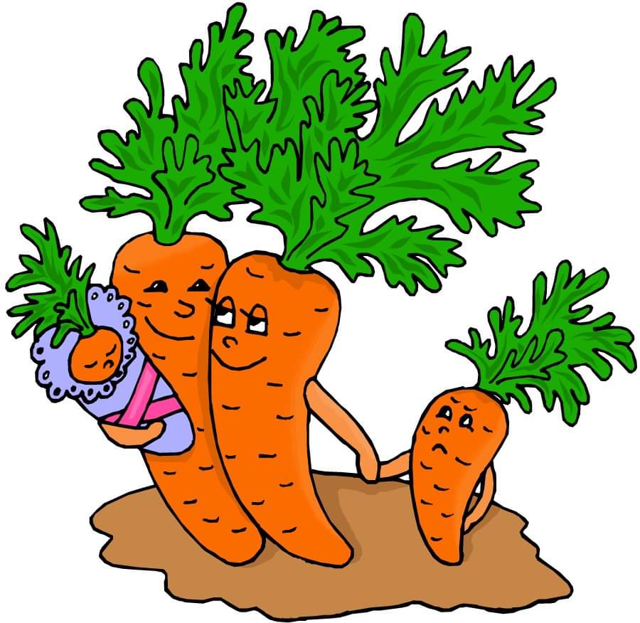 New Canaan Farmers Market