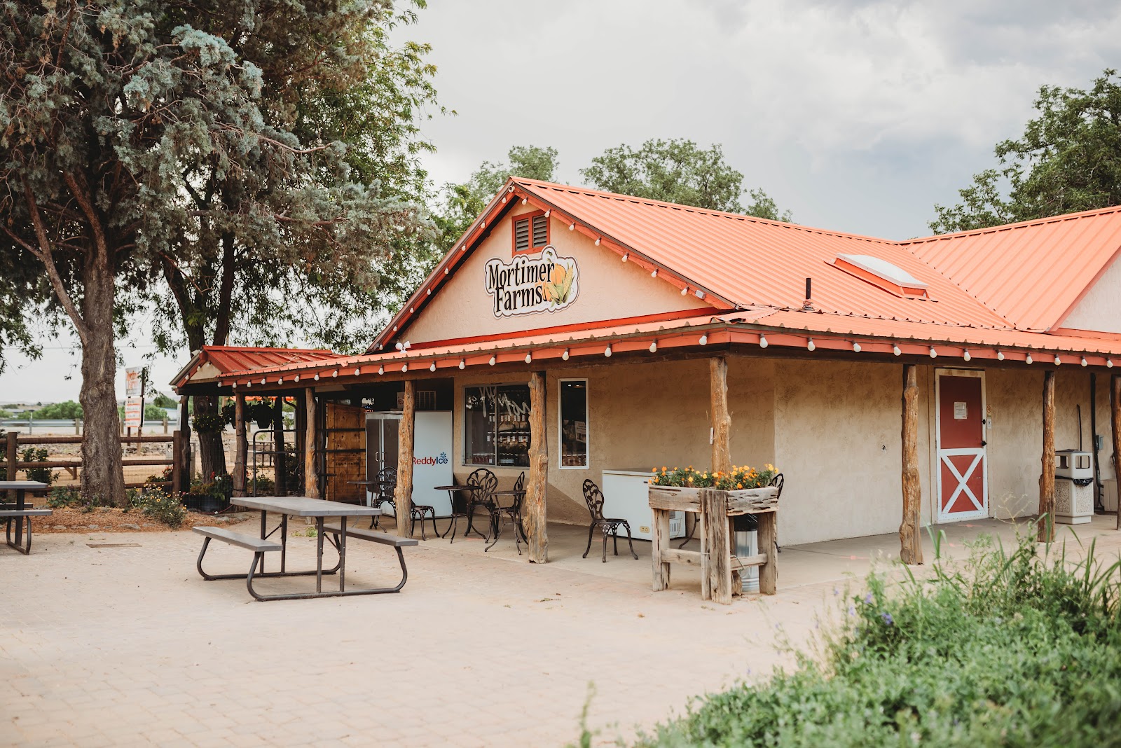 Mortimer Farms photo 25