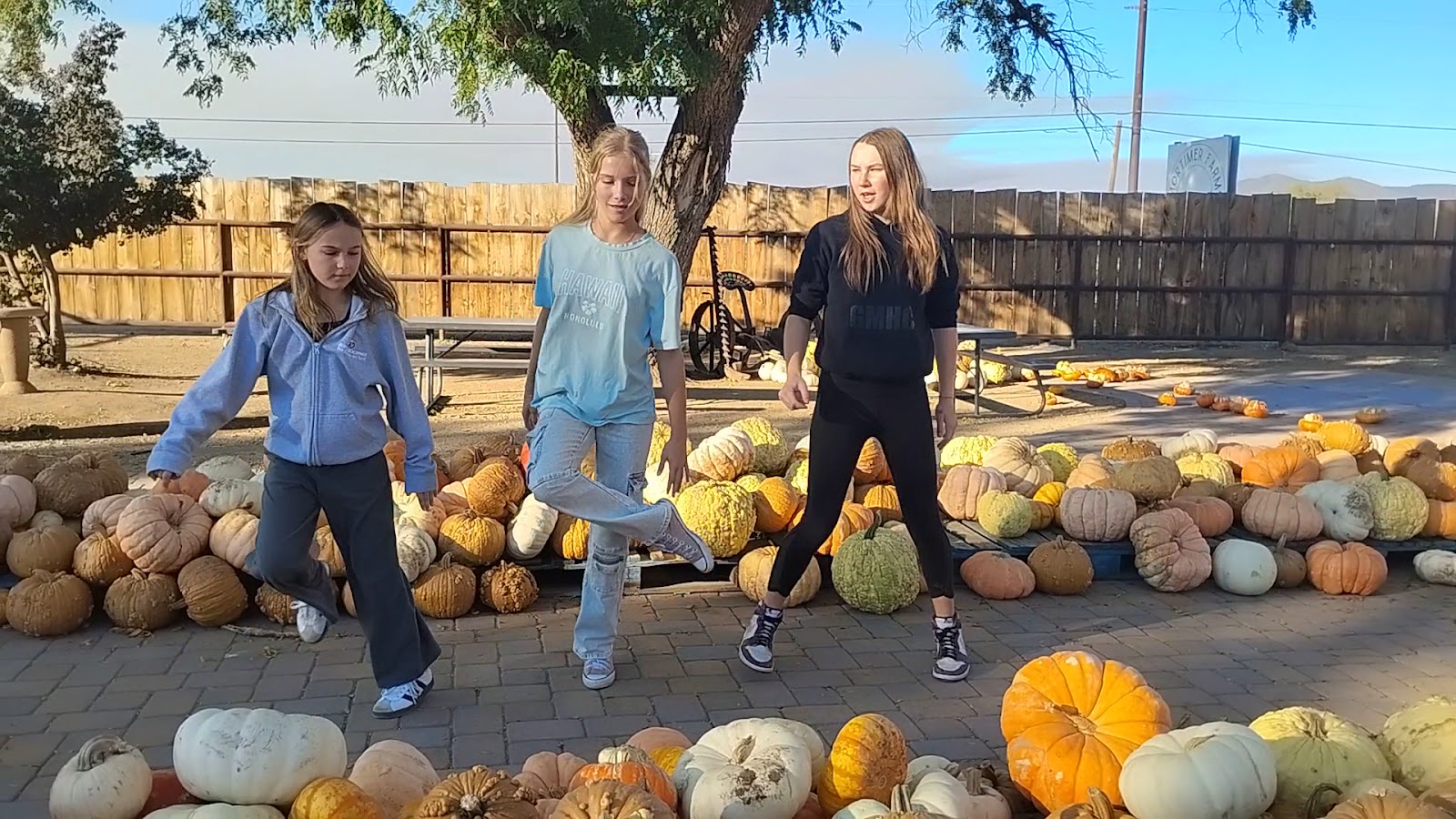 Mortimer Farms photo 27