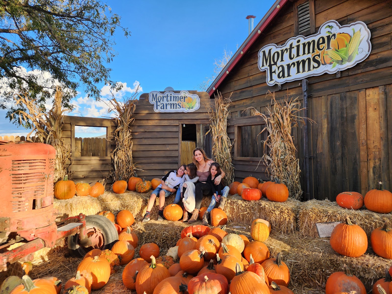 Mortimer Farms photo 29