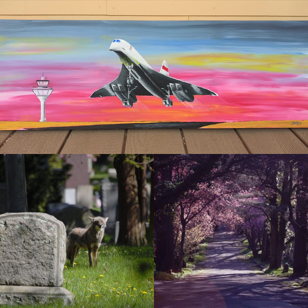 Attleboro Farmers Market photo 5