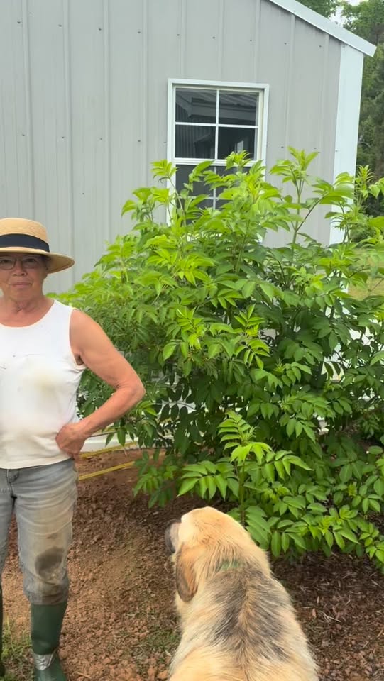 Tubby Creek Farm