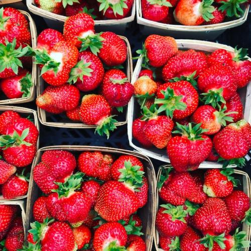 The North Shore Farm